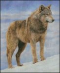 (image for) Timber Wolf Stance